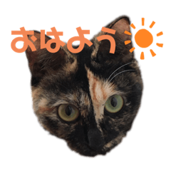 ジジ子スタンプ２