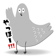 ハトくん1