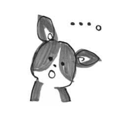 ボストンテリアのハンナ