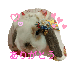 うさりおスタンプ