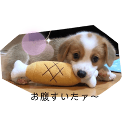 みんとだよ