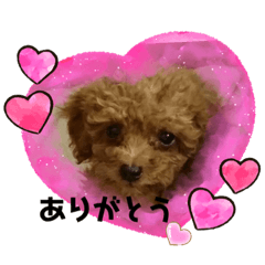 愛月と空とマロンパート3