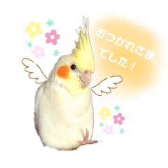 スタンプぴゅーちゃん