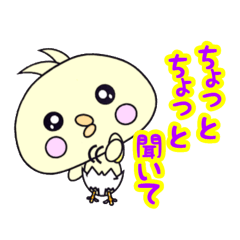 かわいいヒヨコのタマちゃん 2