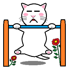 とってもあかるい白ねこ家族