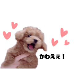 ばばろわくん①