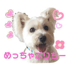 フロレベとゆかいな仲間たち…vol.1