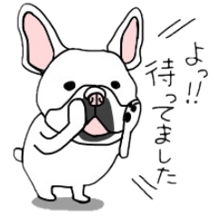 フレブルですがなにか？2