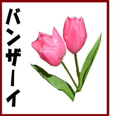 動く綺麗な花、敬語