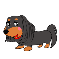 ウチのココちゃん