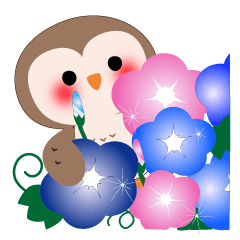 夏だ！使える!!幸せのプク郎