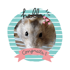 可愛い！こはるちゃん