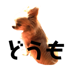 ララ君の日常スタンプ