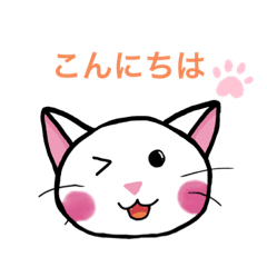 ニャーニャーデイリー