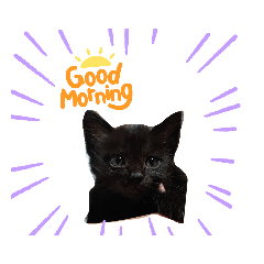 ネネ＆ナナの毎日