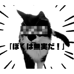 学生さん向け？猫たまスタンプ (40個入り)