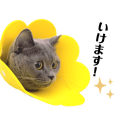 むぎこの日常スタンプ