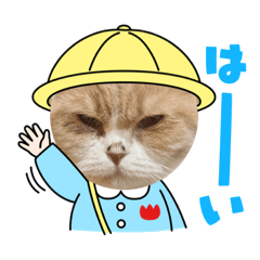 猫むぎちゃんのスタンプ