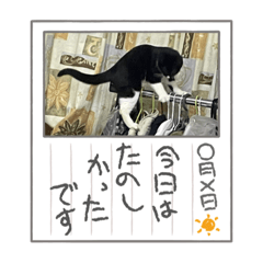 ムムちゃん日記