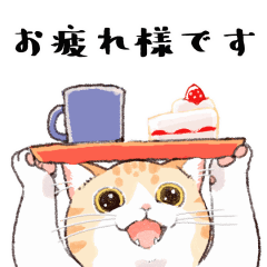 いいやつすぎる猫トミー