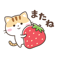 ゆるカワ♪クロときどきミケ【春】