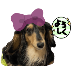 ペット達とm.の作品2