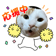 猫いつも元気だにゃん2