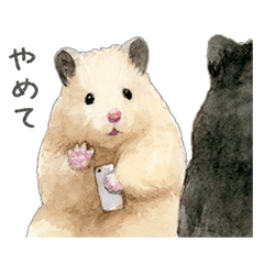 ハムスター助六の日常6