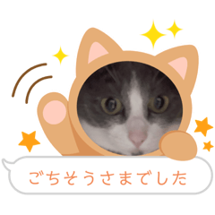 ロビンの日常使えるスタンプ