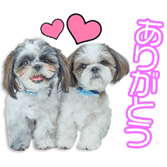 中村家の陽太、陽葵ちゃん