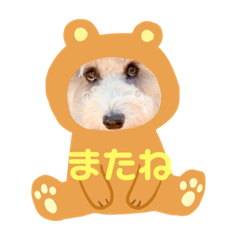 お茶目なすももの日常