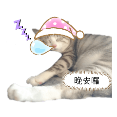 Lydia_20221127195005