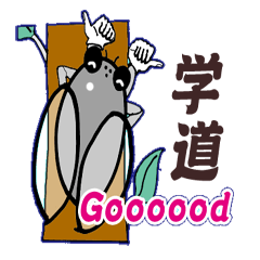 長生きのセミが御挨拶