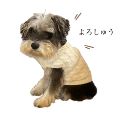 ふみの控えめな喜怒哀楽