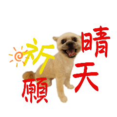 おちょこおじょうさんのスタンプ３