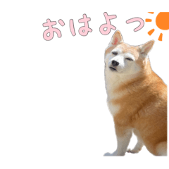 マリーとゆかいな仲間たち