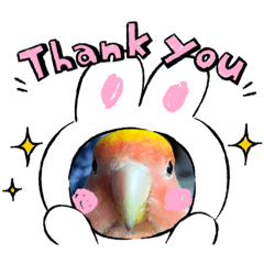 piko っと送信①