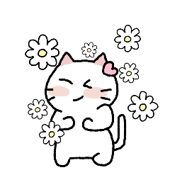 素敵な猫ニャク