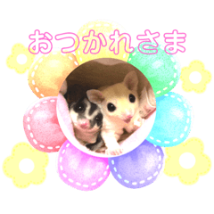 フクロモモンガの風と空のスタンプ【１】