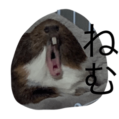 モルち用スタンプ