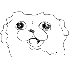 ペキニーズ！茂吉くん4