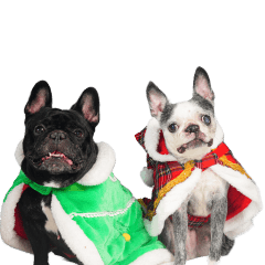 コジロウ＆コタロウくんのスタンプです。