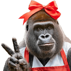 リアル☆メスゴリラ