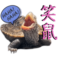 Emily_20240130141844