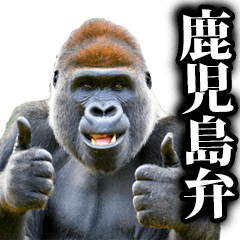 鹿児島弁☆ゴリラ