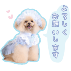 cocoちゃん　4歳のスタンプ♡