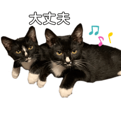 てんせんスタンプ