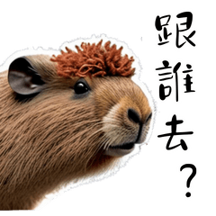 Quirky Capybara's Daily Life 2
