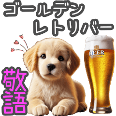 使えるゴールデンレトリバー【敬語・仕事】