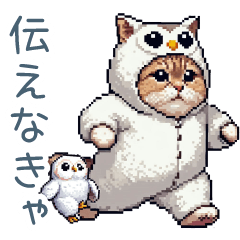 フクロウ猫ちゃん【かわいい・面白い】